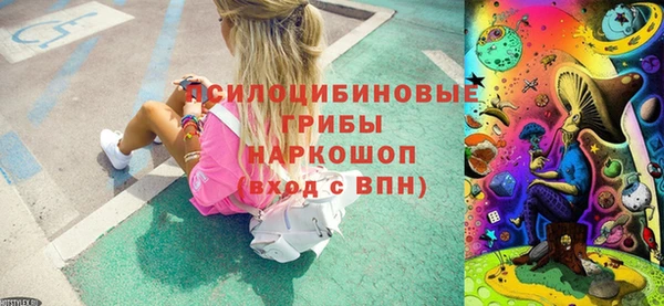 твердый Надым