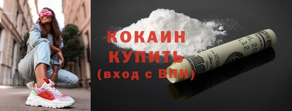 гидра Новозыбков