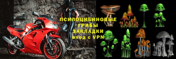 эйфоретик Новодвинск